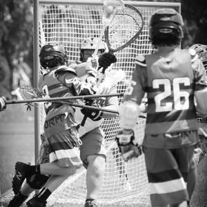 Meet your Posher, Ann